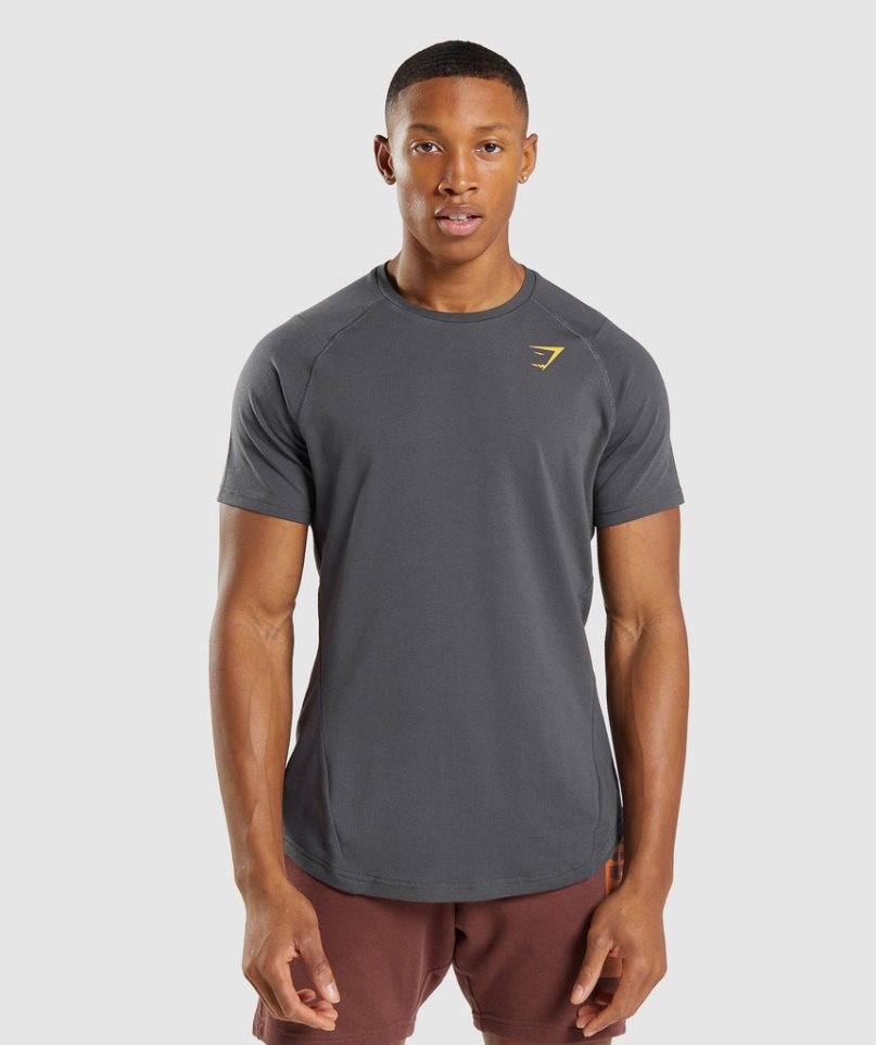 Men's Gymshark Bold T-Shirts Dark Grey | CA 3AD1N7